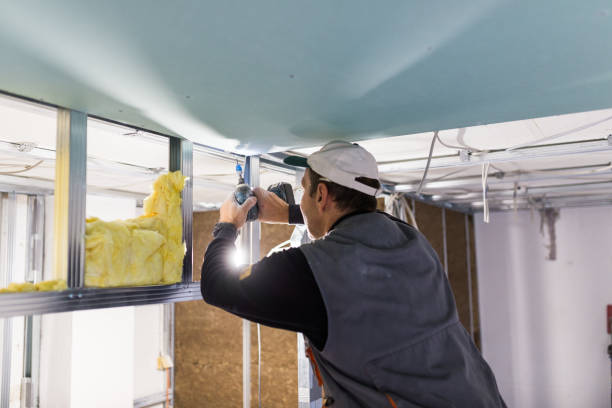 Best Weatherproofing Services  in Chelsea, MI