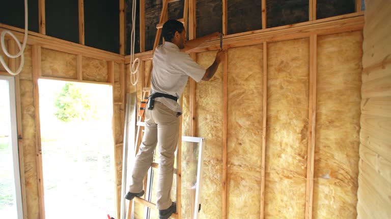 Best Pipe and Duct Insulation  in Chelsea, MI