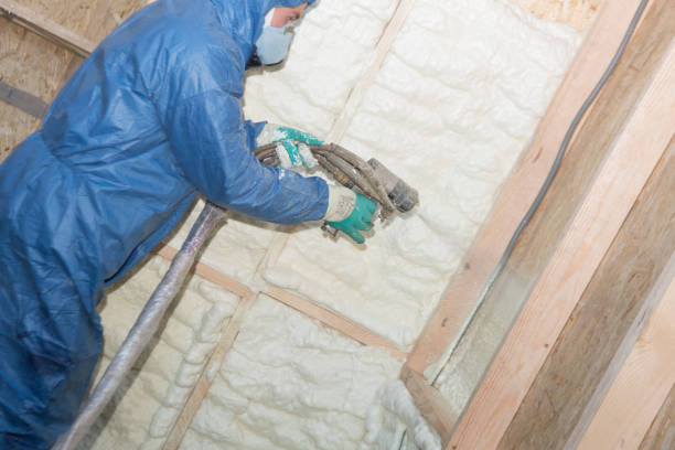 Best Radiant Barrier Insulation  in Chelsea, MI